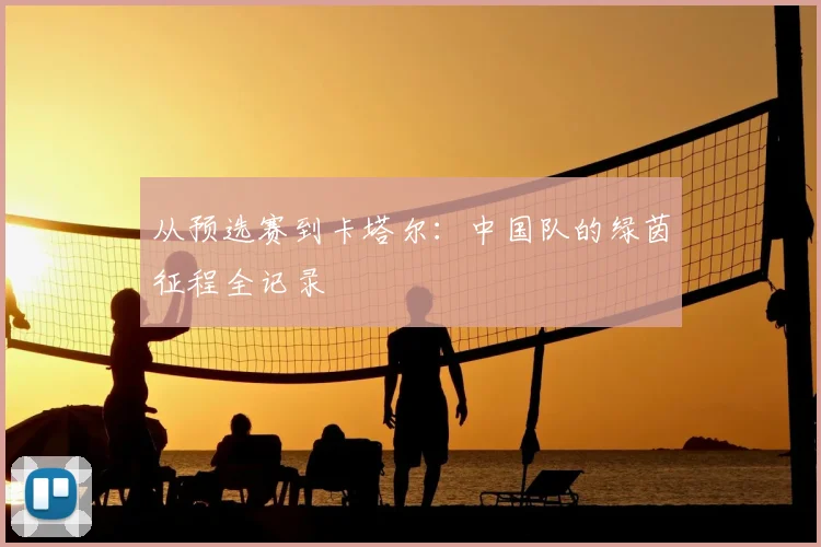 从预选赛到卡塔尔：中国队的绿茵征程全记录