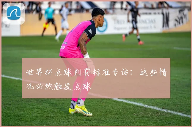 世界杯点球判罚标准专访：这些情况必然触发点球