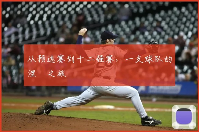 从预选赛到十二强赛，一支球队的涅槃之旅
