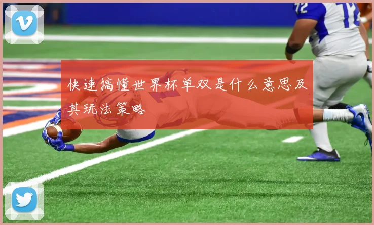 快速搞懂世界杯单双是什么意思及其玩法策略