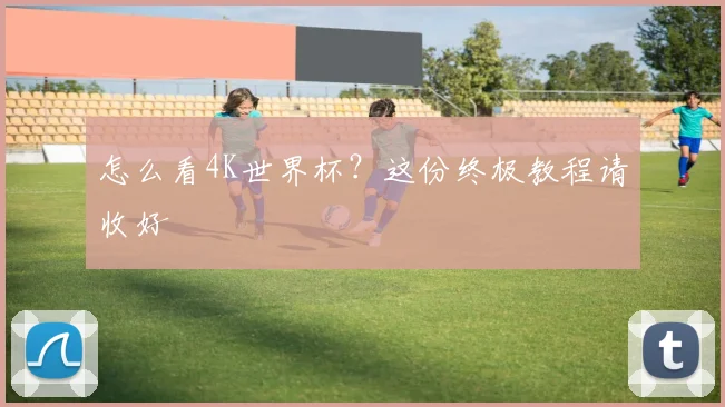 怎么看4K世界杯？这份终极教程请收好