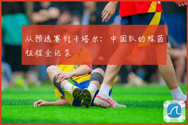 从预选赛到卡塔尔：中国队的绿茵征程全记录