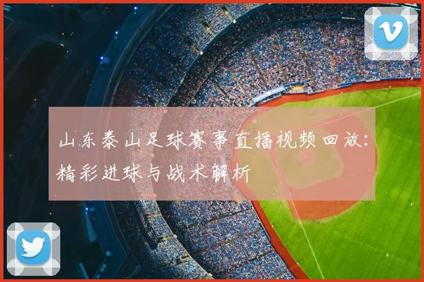 山东泰山足球赛事直播视频回放：精彩进球与战术解析