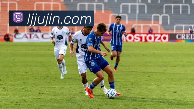 九游j9官方网站平台生态图